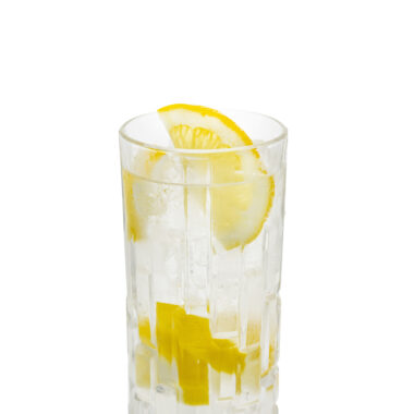gin-tonic